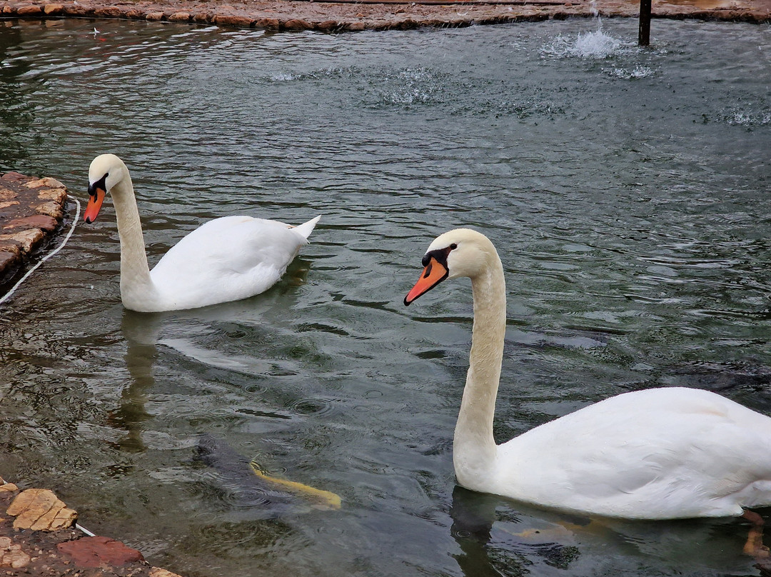 Zoologikós Kípos Kalavrýton-卡拉夫里塔必去景点