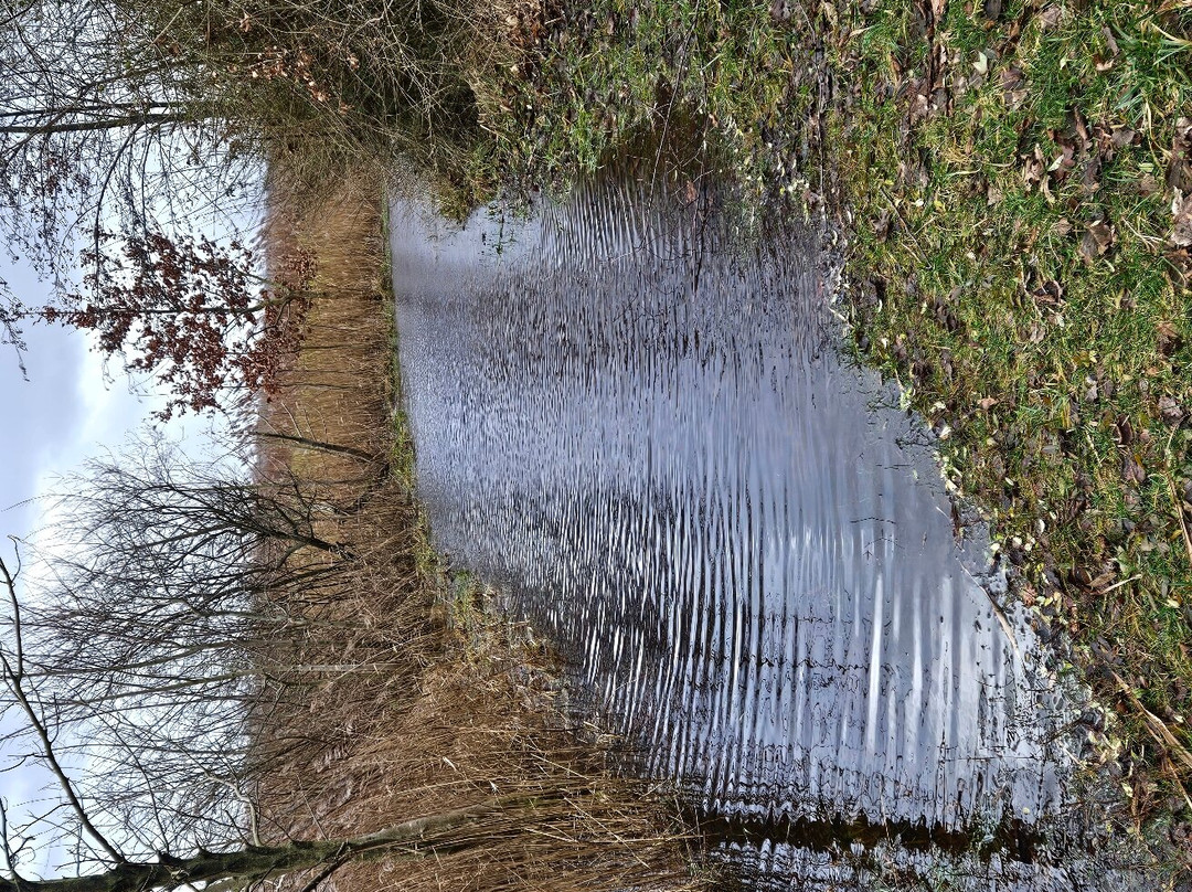 Nationaal Park Lauwersmeer景点图片