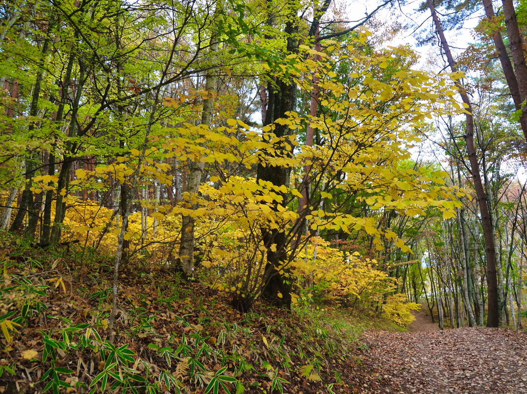 Yatsugatake Natural & Culture Park-原村必去景点