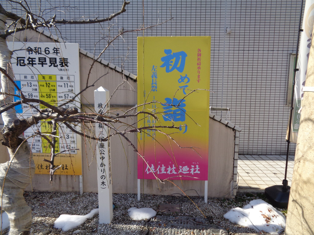 Sakaenoyashiro Shrine景点图片