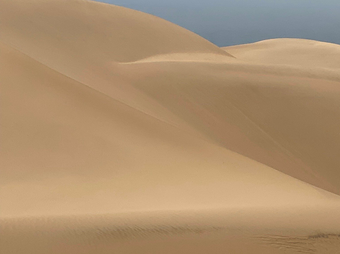 MC Tours-华维斯湾必去景点