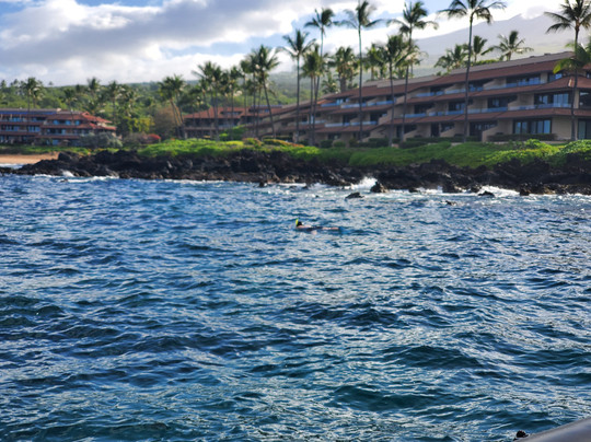 毛伊岛浮潜之旅-基黑必去景点