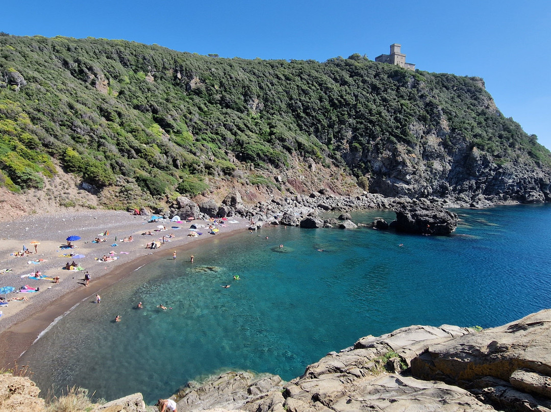 Cala del Leone景点图片