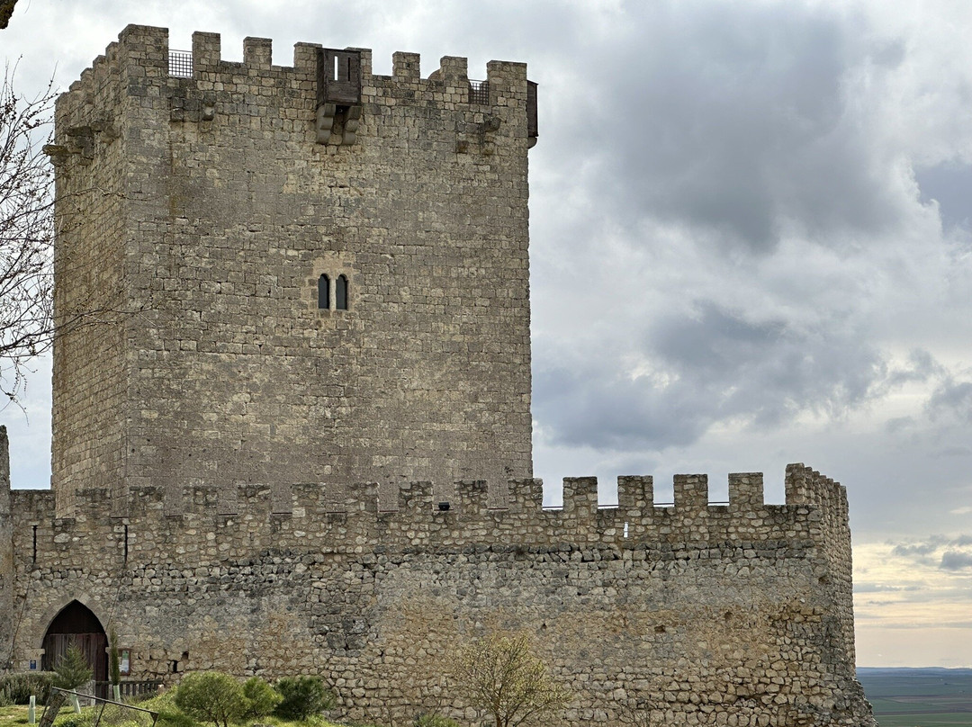 Castillo de Tiedra景点图片