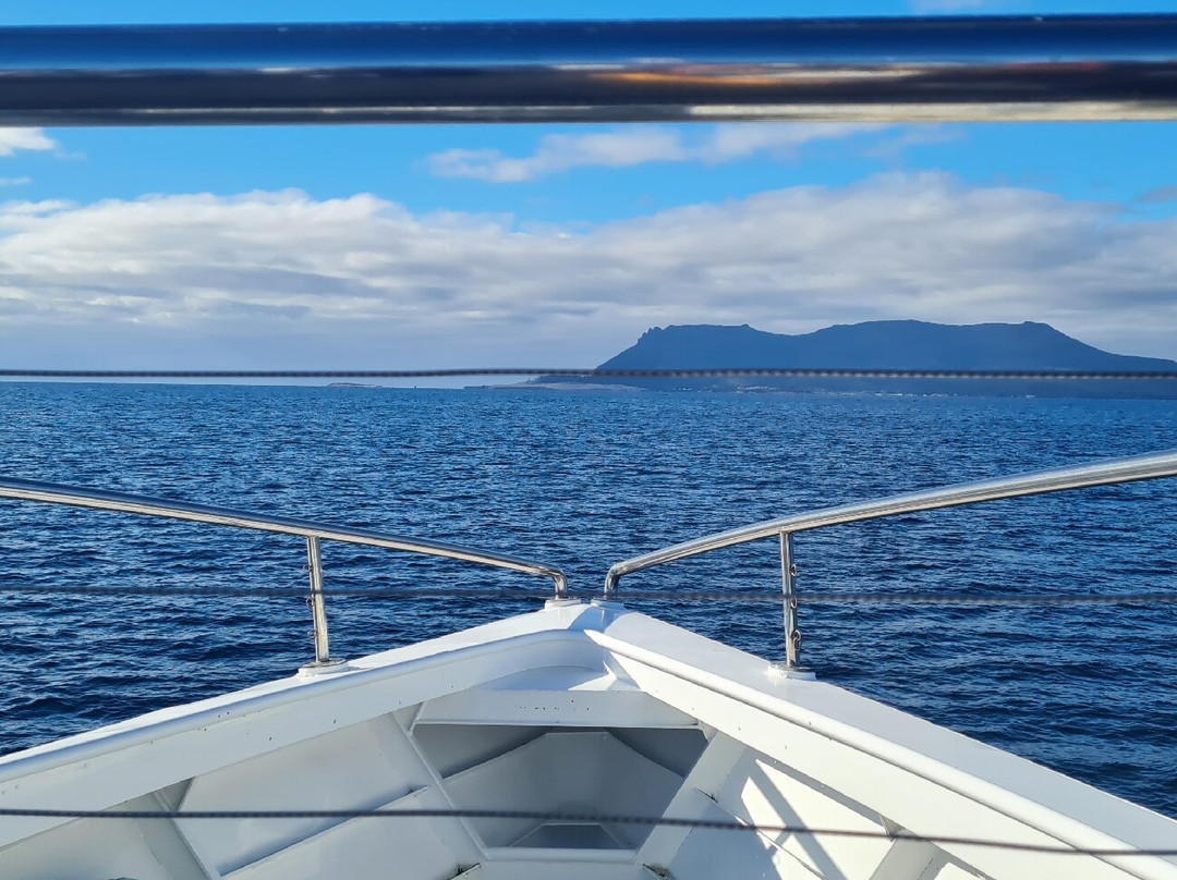 Encounter Maria Island ferry景点图片