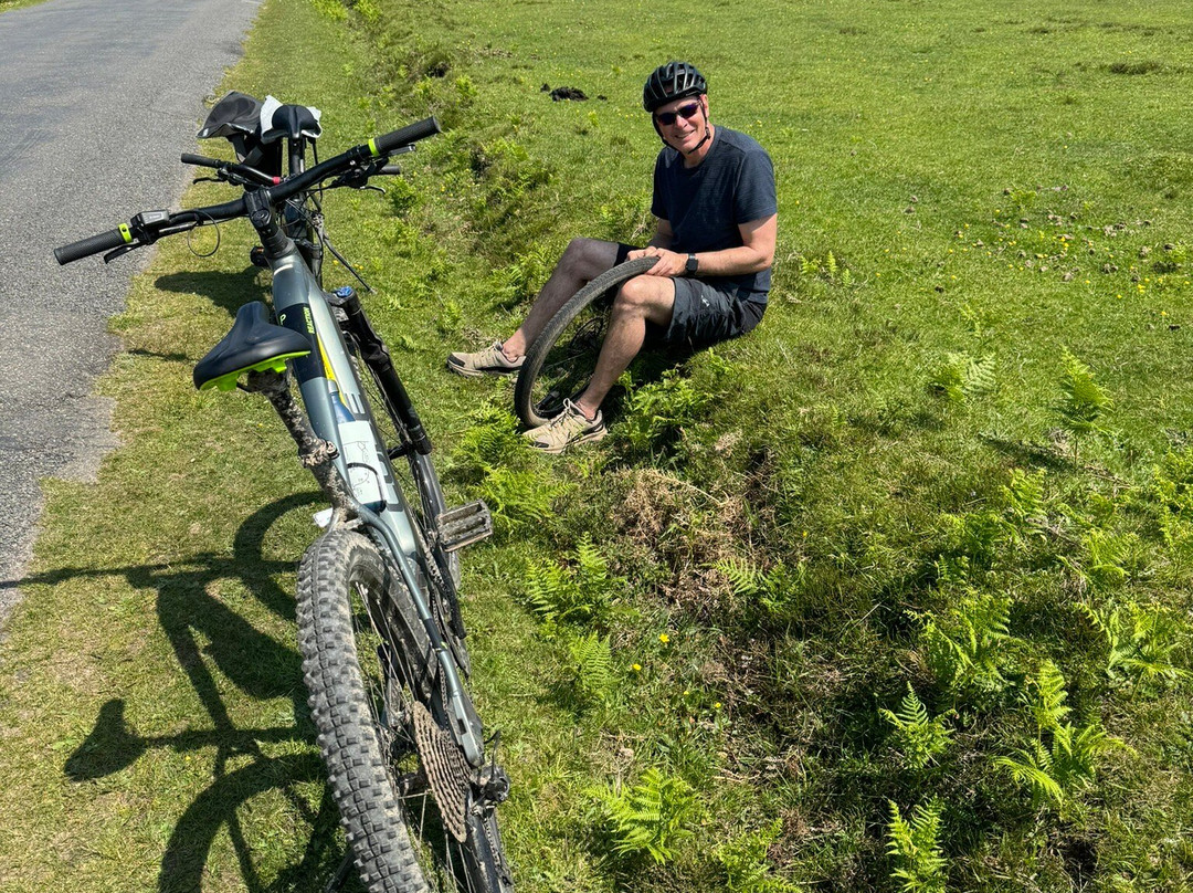 The Woods Cyclery景点图片