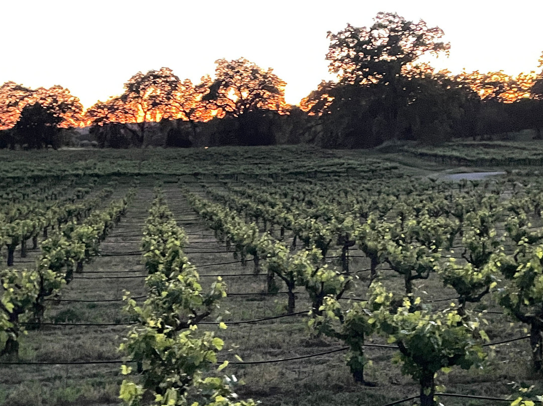 Grand Reserve Inn主图