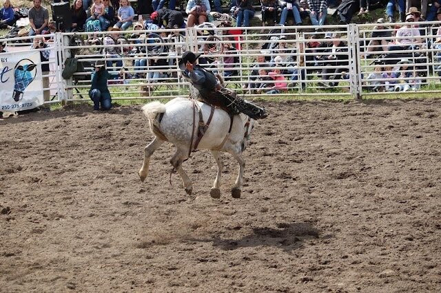Falkland Stampede-Falkland必去景点
