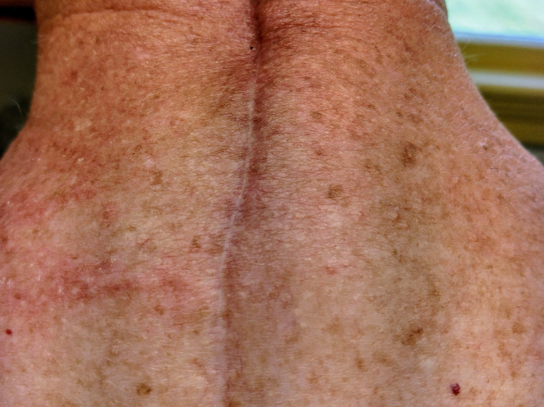 American Shakespeare Center-斯汤顿必去景点