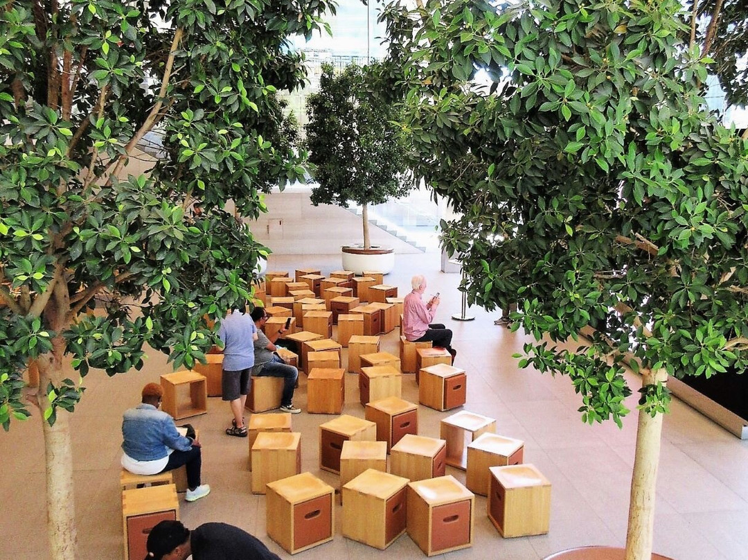 Apple Michigan Avenue-芝加哥必去景点