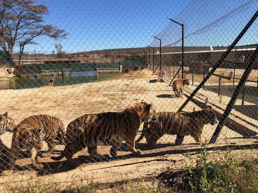 Eventieria Wildlife Park景点图片