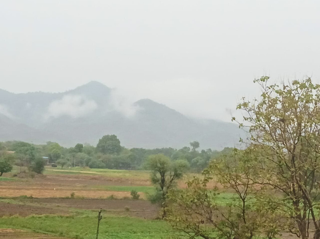 The Bhagwati Resort主图