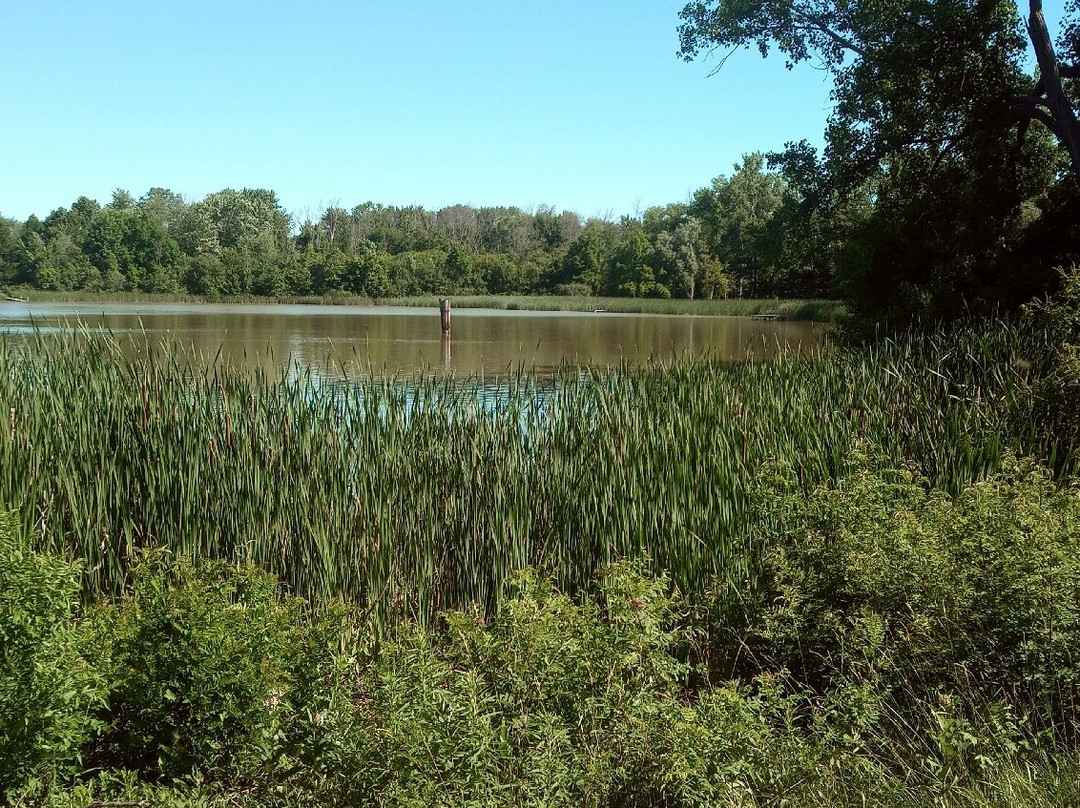 Erie Canal Trail景点图片