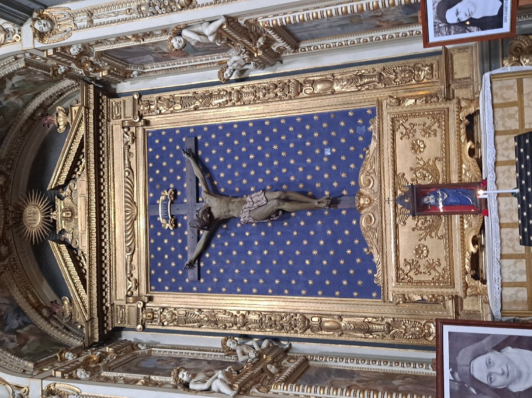 Basilica Della Madonna Dell'umiltà景点图片