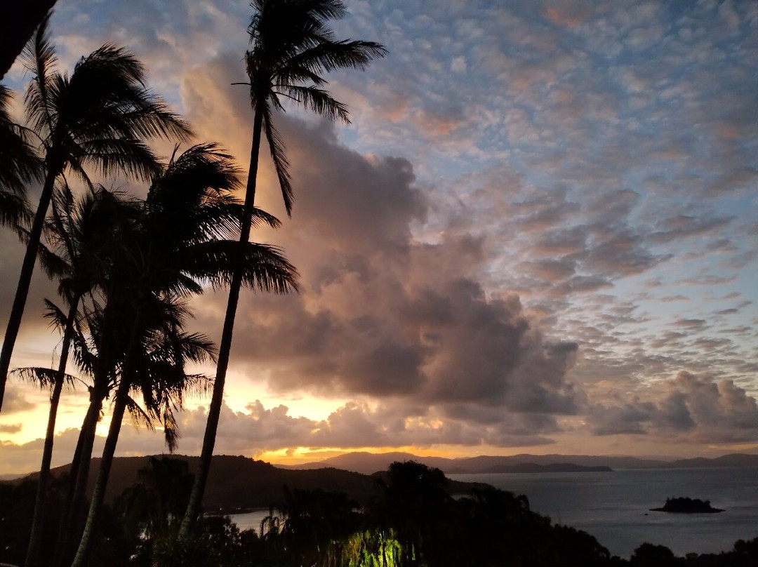 One Tree Hill Sunset Cocktails-汉密尔顿岛必去景点