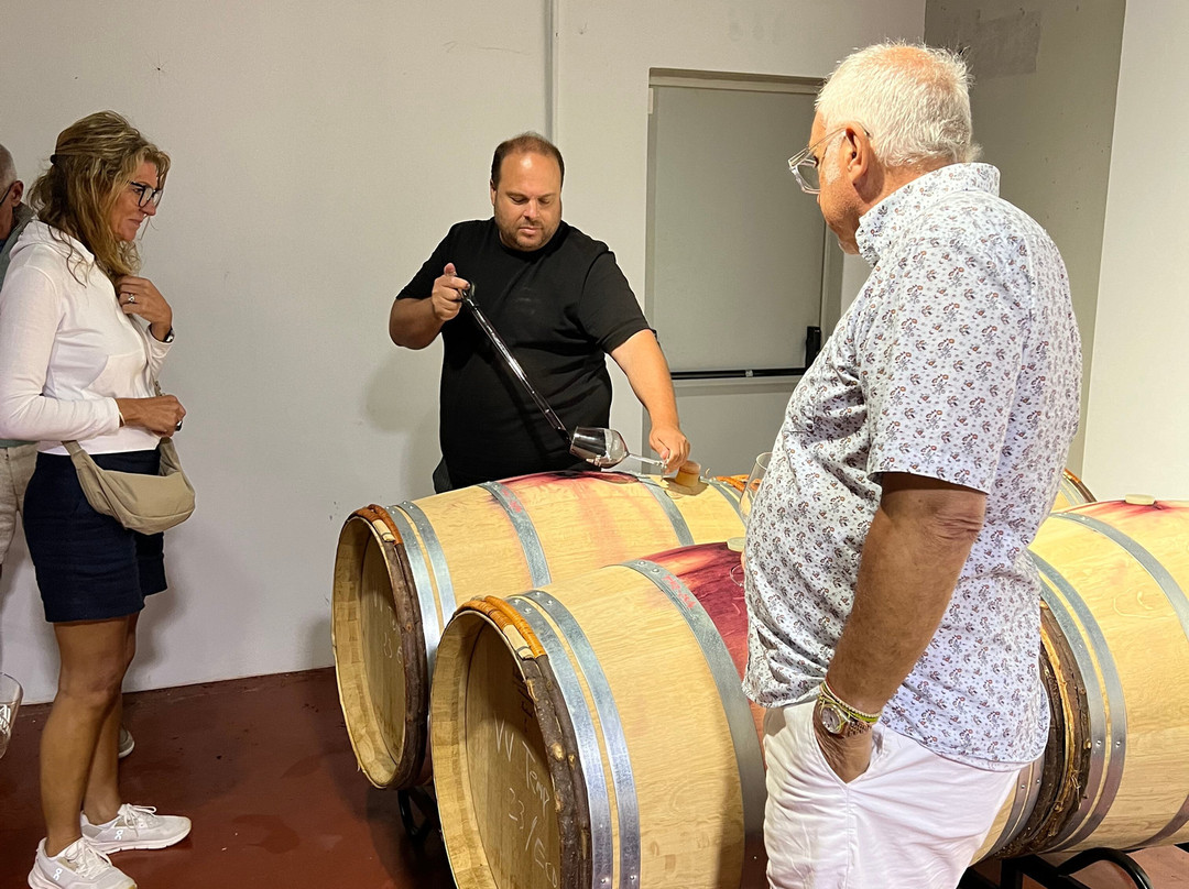 Bodegas La Divisa-Torvizcon必去景点