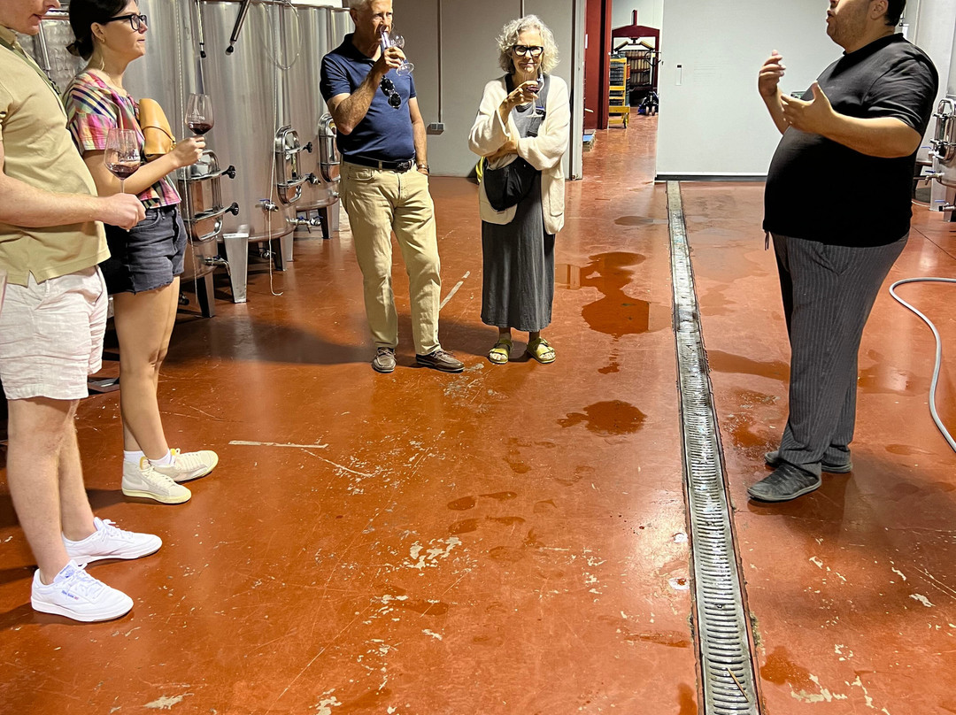 Bodegas La Divisa-Torvizcon必去景点