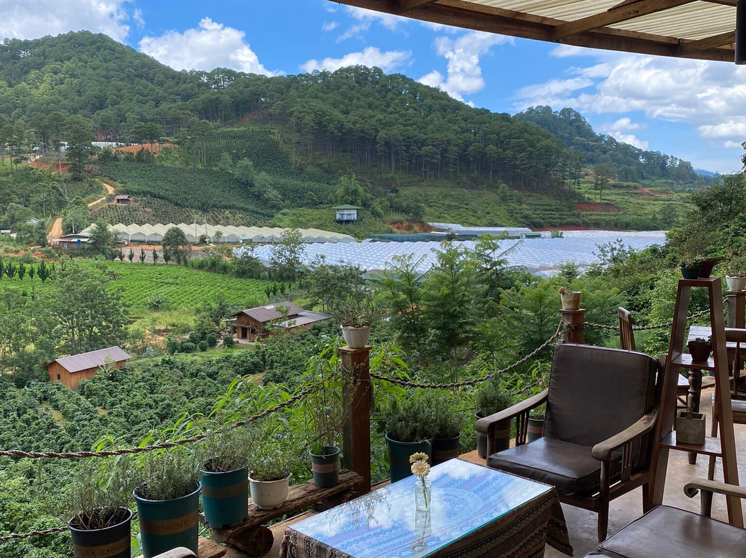 Vietnam Riders Motorcycle Tours-大勒必去景点