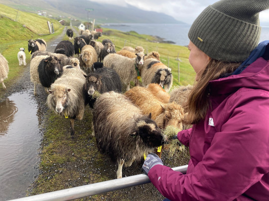 Lamb.fo-Selatrad必去景点