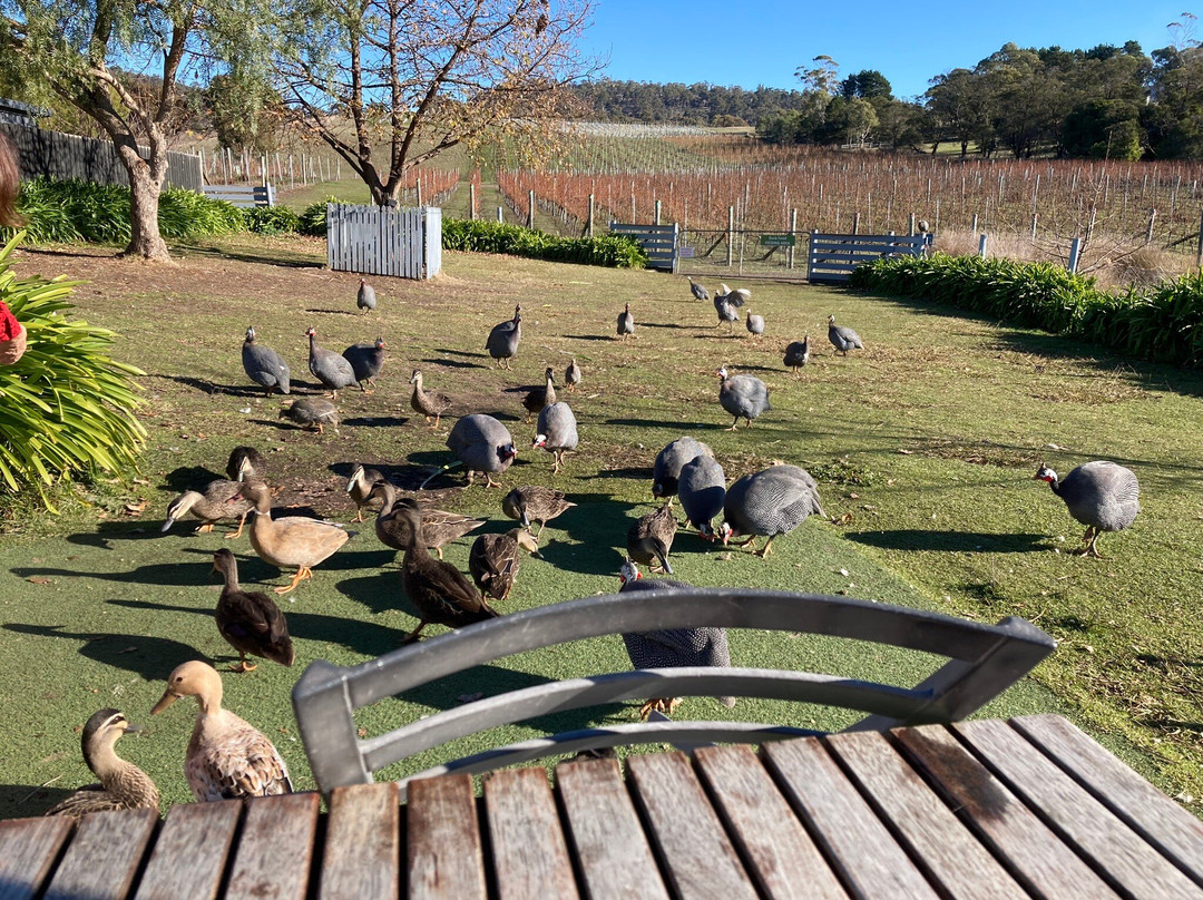 Puddleduck Wines-Richmond必去景点