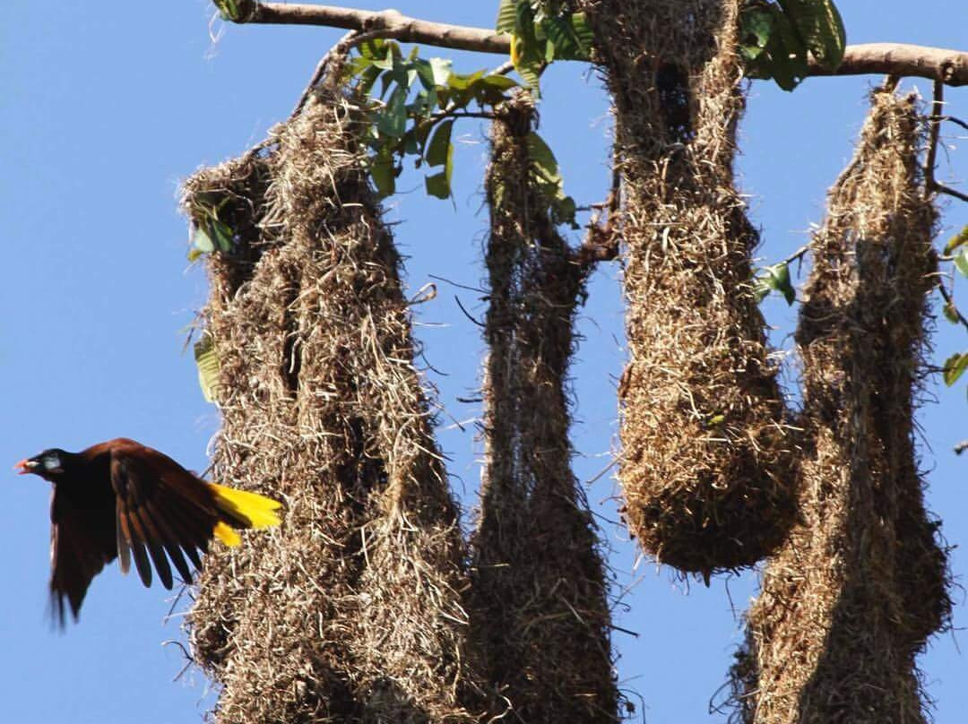 Kats Tours-巴拿马城必去景点