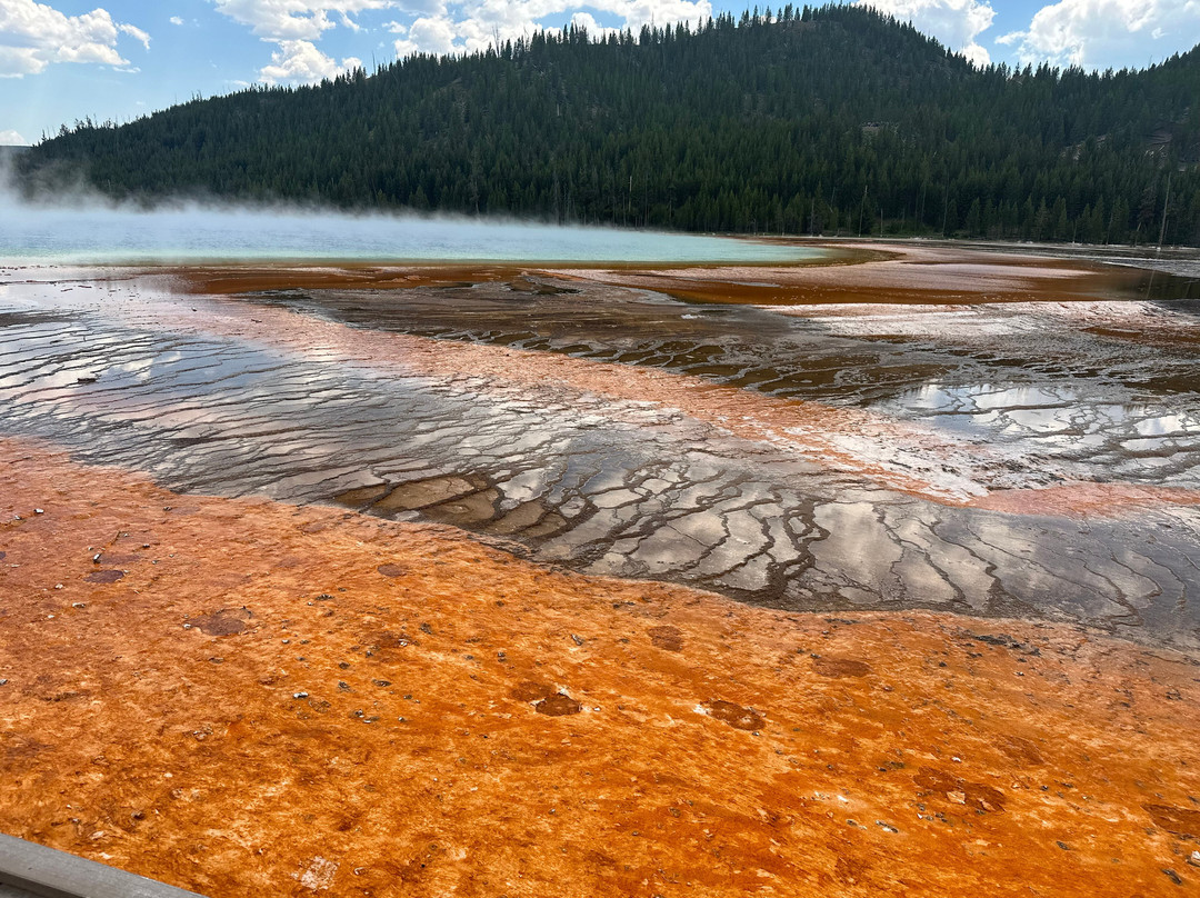 Tied To Nature-艾兰帕克必去景点