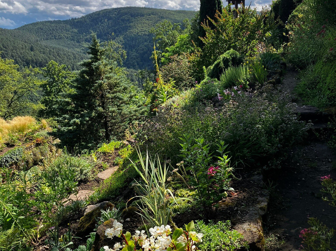 Jardin Alpestre de la Grotte Saint-Vit-Saverne必去景点