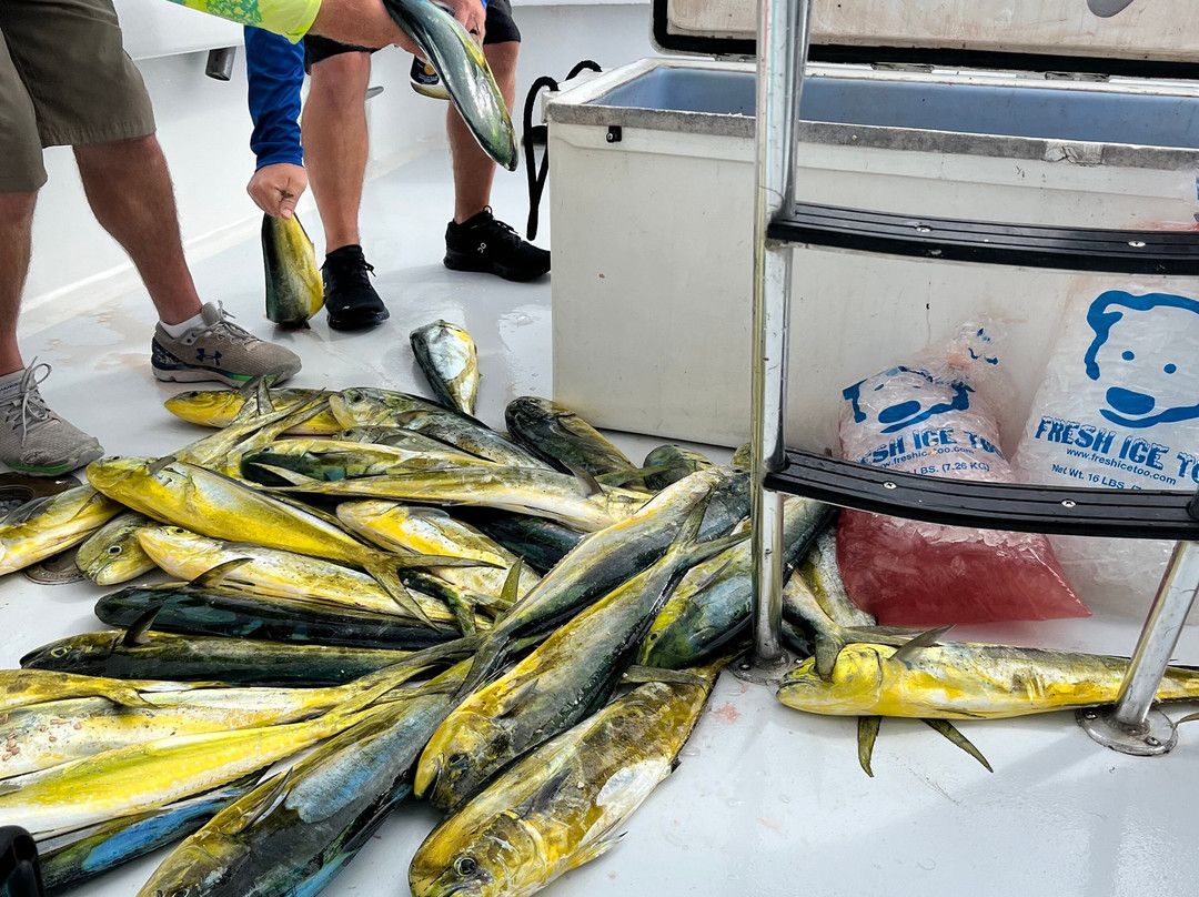 LegaSea Charters-伊斯拉摩拉达必去景点