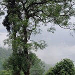 Singell Homestay主图