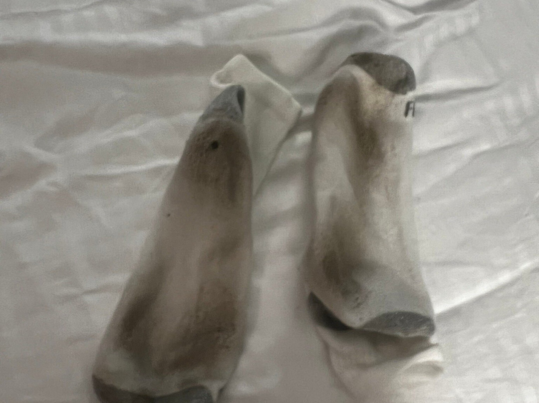 SureStay Plus Hotel by Best Western Highland Poughkeepsie主图