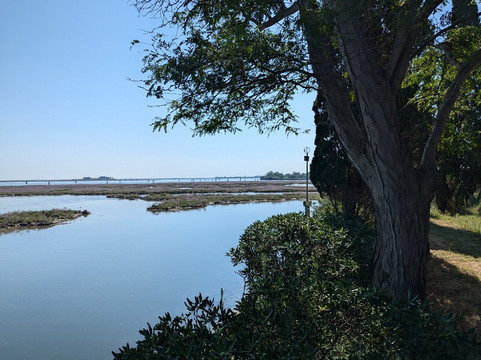 Brussa Is Boat-威尼斯必去景点