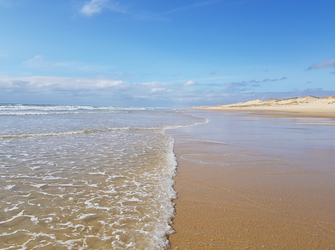 Les Plages de Lacanau景点图片