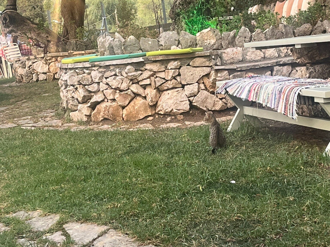 Olive Garden Home Restaurant