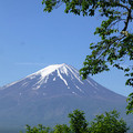 lph2007