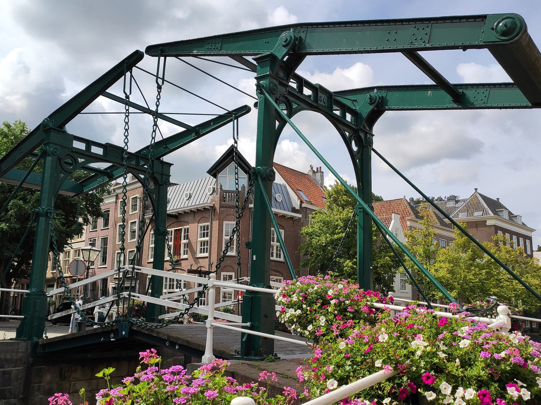 Rijn (Rhine)-莱顿必去景点