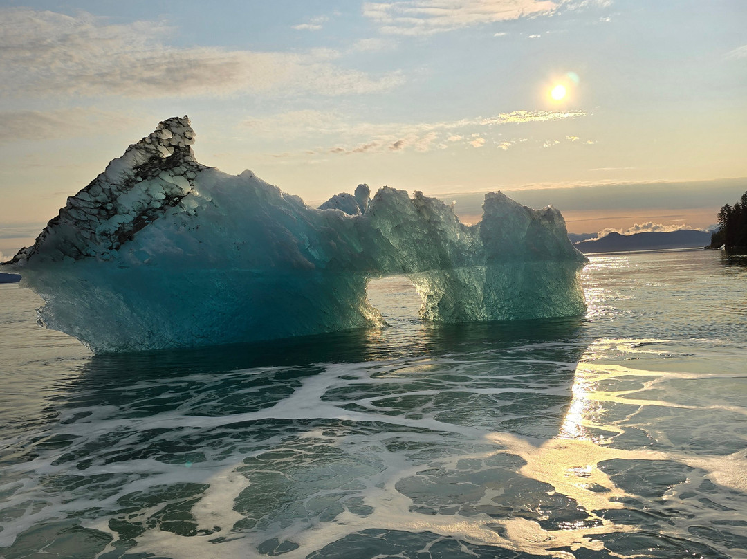 Seek Alaska Tours景点图片