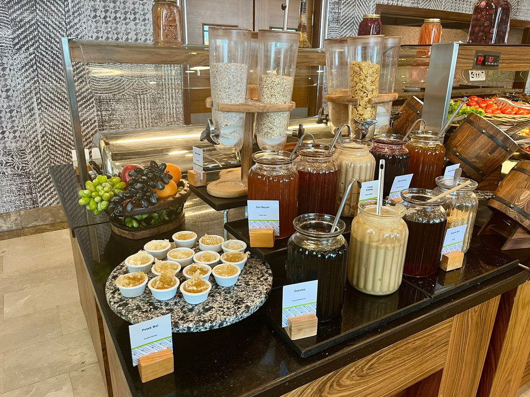 DoubleTree by Hilton Hotel Van主图