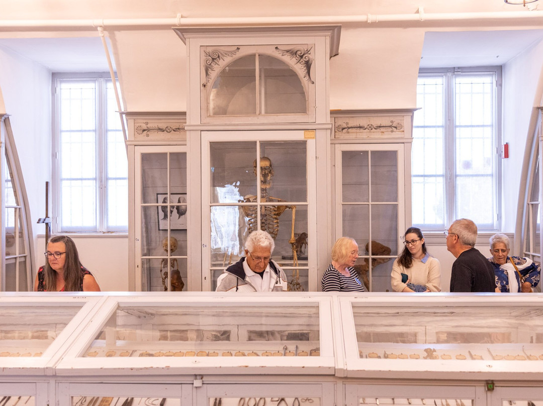 Musée de l'Ancienne École de Médecine Navale景点图片