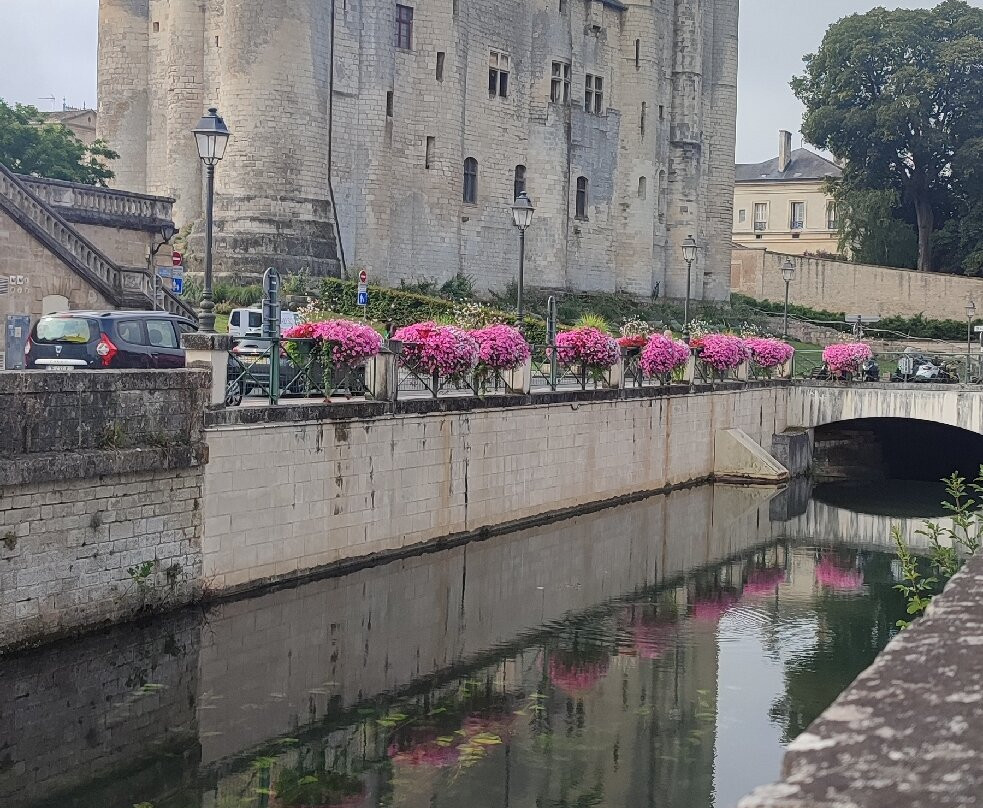 Le Musée du Donjon de Niort景点图片