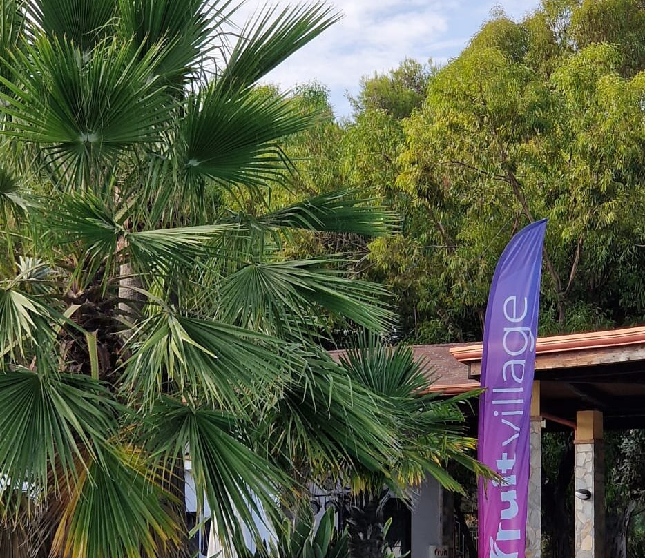 Holiday Beach Family Village主图