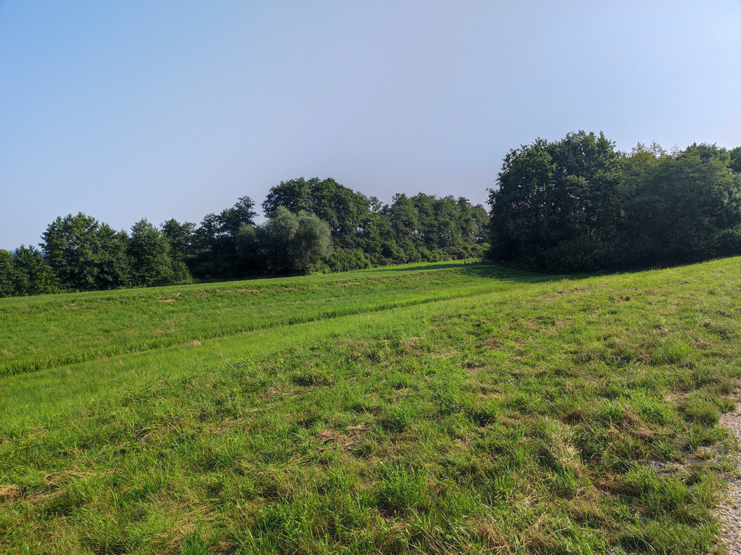 The Former Ljubljanica River Bed-Preserje必去景点