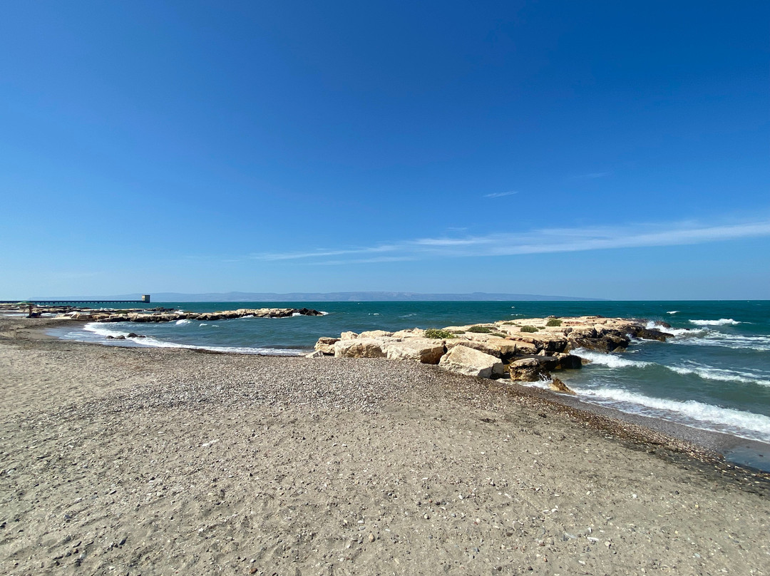 B&B Fenicottero Rosa主图