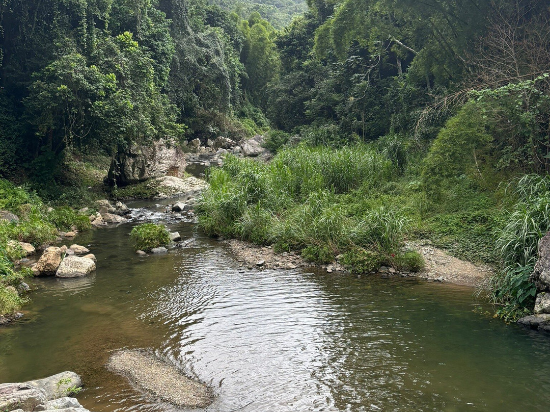 Hacienda Negron主图