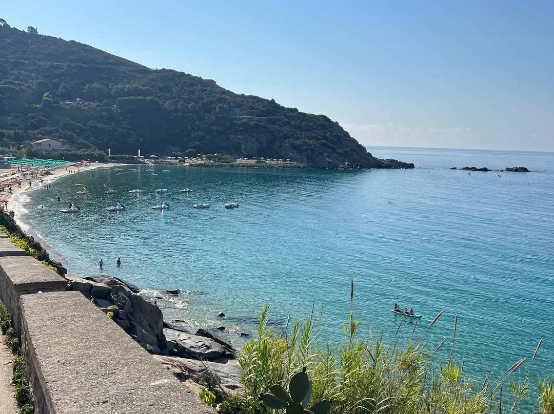 Spiaggia di Cavoli景点图片