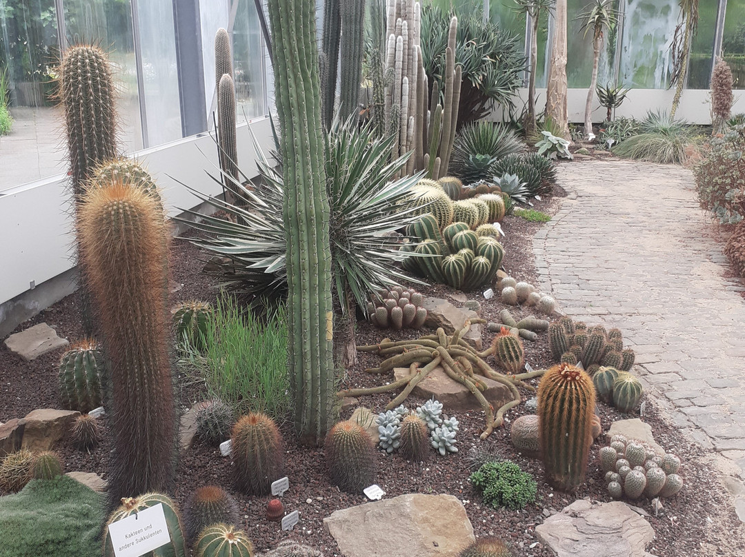Botanischer Garten景点图片