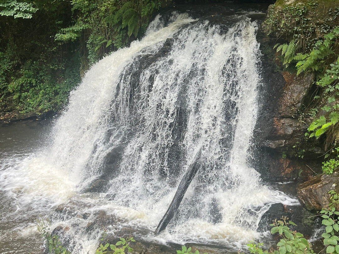 Cascades de Murel景点图片
