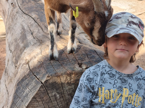 Parc des Grands Félins-Saint-Leger-en-Bray必去景点