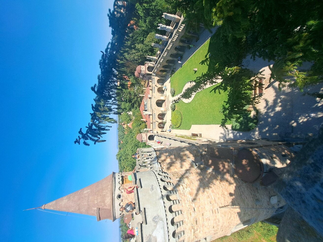 Bory Castle景点图片