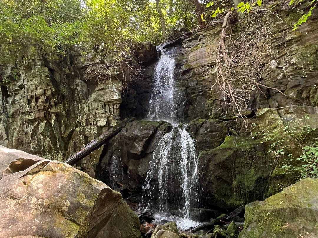 Baskins Creek Falls-大雾山国家公园必去景点