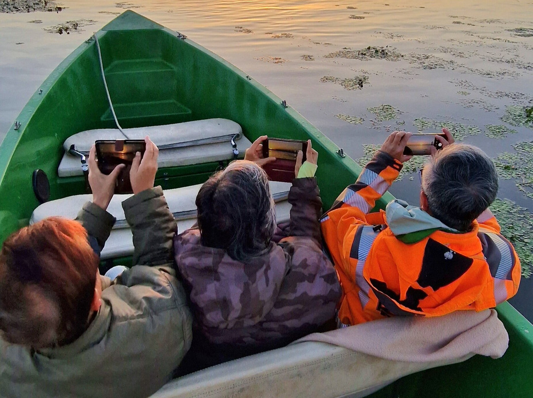 Tours in Delta with John-Crisan必去景点